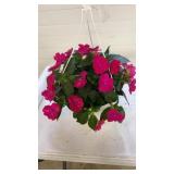 Compact Rose Glow 10" Hanging Baskets