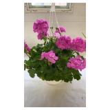 Calliope Large Lavender 10" Hanging Basket
