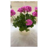 Calliope Large Lavender 10" Hanging Basket