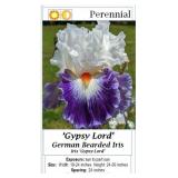 3 Gypsy Lord Blue-White Bearded Iris Plants