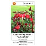 4 Red Valentine Bleeding Heart Plants