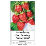 3 Everbearing Strawberry Hanging Baskets