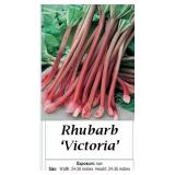 6 Victoria Red Rhubarb Plants