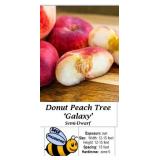 2 Donut Galaxy Peach Trees