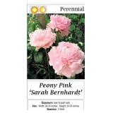 5 Sarah Bernhardt Double Pink Peony Plants