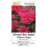 5 Dwarf Cherry Pops Red Bee Balm Plants