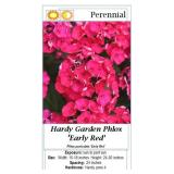 6 Red Garden Phlox Plants