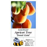 Sweet Gem Apricot Tree