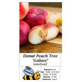 Donut Galaxy Peach Tree