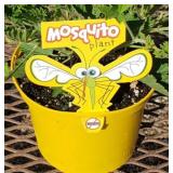 6 Annual Citronella Mosquito Plants