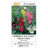 6 Las Vegas Mixed Color Hollyhock Plants