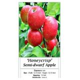 3 Honey Crisp Apple Trees