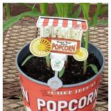 5 Movie Bucket Popcorn Plants