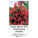 3 Sonic Bloom Red Weigela Plants