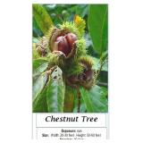 2 Chestnut Trees