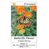 10 Orange Magnet Butterfly Flower Plants