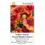 6 Touched Yellow Red Blanket Flower Plants
