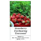 3 Everbearing Strawberry Hanging Baskets