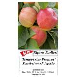 3 Premier Honeyscrisp Apple Trees