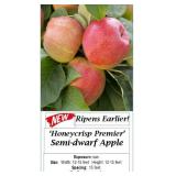 3 Premier Honeyscrisp Apple Trees