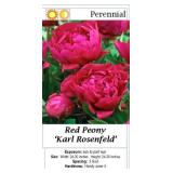 5 Karl Rosenfeld Double Red Peony Plants