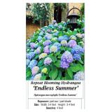 3 Rebloomer Endless Summer Blue Hydrangea Plants