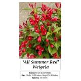 6 All Summer Red Weigela Plants