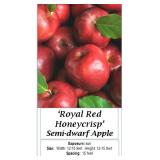 3 Royal Red Honeycrisp Apple Trees