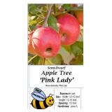 2 Pink Lady Apple Trees