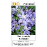 4 Lavender & Pink Blue Clematis Plants