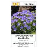 6 Blue Bell Flower Plants