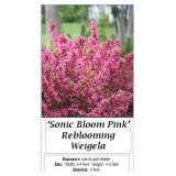 3 Sonic Bloom Pink Weigela Plants