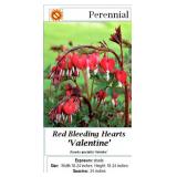 6 Valentine Red Bleeding Heart Plants