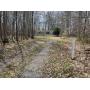 6/10 -Real Estate 1.5 Acre Wooded Lot In Silver Springs NY