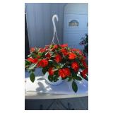 Vigorous Orange Hanging Basket