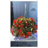 Vigorous Tropical Orange Hanging Basket