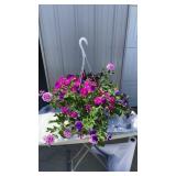 Big Flirt MixMaster Hanging Basket