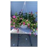 Pink Morning Glory Hanging Basket