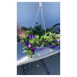 Night Sky Hanging Basket