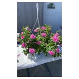 Piece Of Cake MixMaster Hanging Basket