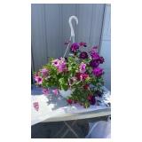 A Grape Time MixMaster Hanging Basket