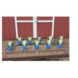 10 Dwarf White Snowcap Shasta Diasy Plants