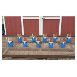 10 Cheyenne Mixed Colors Coneflower Plants