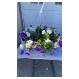 Pleno Sal Hanging Basket