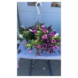 Mix Masters Hanging Basket