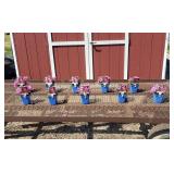 10 Cherry Goldiphlox Creeping Phlox Plants