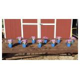 10 Emerald Pink Creeping Phlox Plants