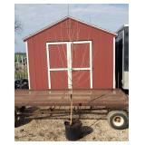 Everbearing Mulberry Tree