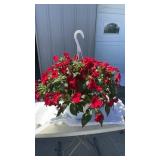 Vigorous Red Hanging Basket