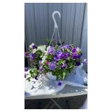 Skyï¿½s The Limit Hanging Basket